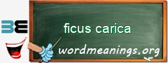 WordMeaning blackboard for ficus carica